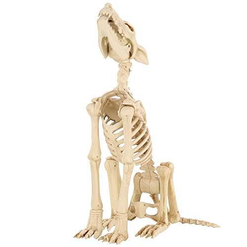 Howling Bonez Animated Dog Skeleton Prop