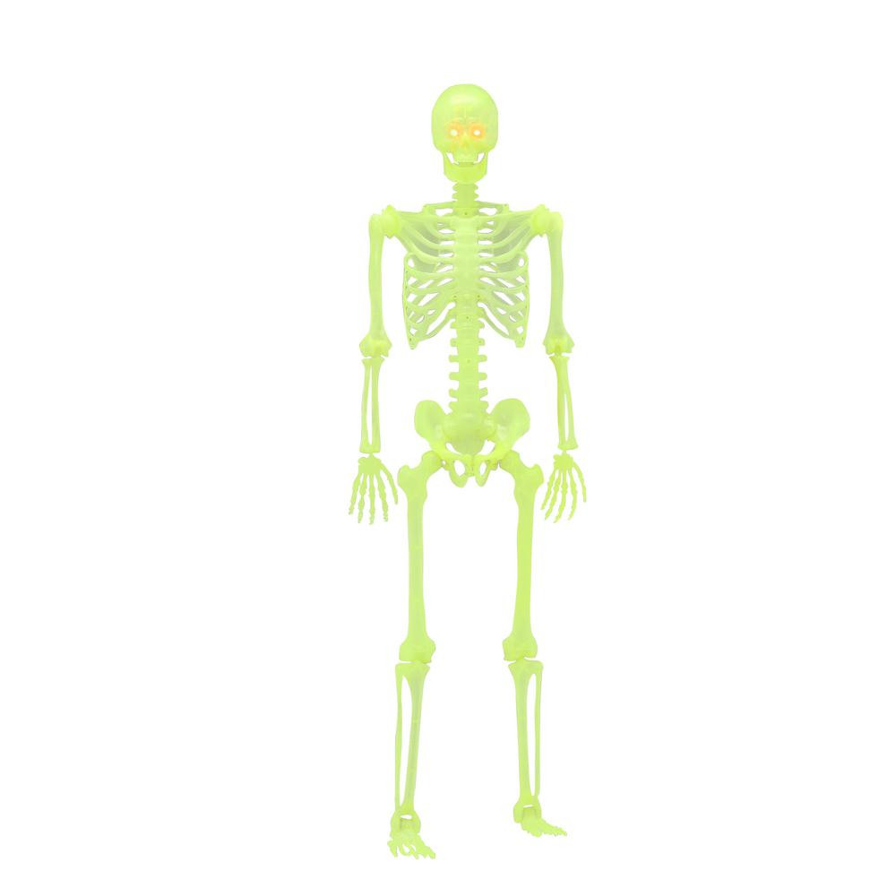 60 in. Glow-in-the-Dark Poseable Skeleton