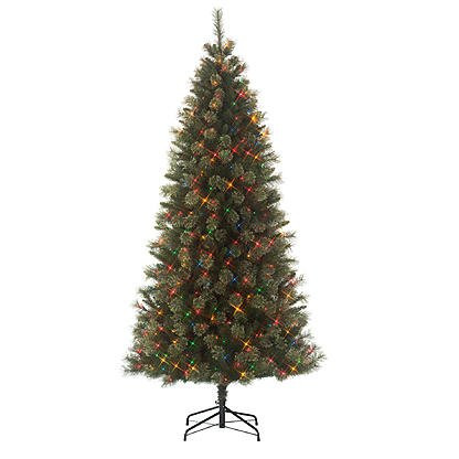 7' One Plug Slim Cashmere Christmas Tree with 500 Multi Lights by Jaclyn Smith 