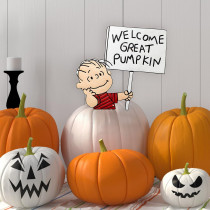 10" Linus with Sign Peanuts Pumpkin Press-in Metal Stake Halloween Harvest Decor 