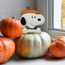 Peanuts Pumpkin Press-in Snoopy Pumpkin Hat Metal Stake Halloween Harvest Decor 