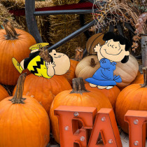 Charlie Brown and Lucy Football Peanuts Pumpkin Press-in Metal Stake Halloween Harvest Decor 