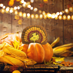 Turkey Woodstock Peanuts Pumpkin Press-in Metal Stake Halloween Harvest Decor 